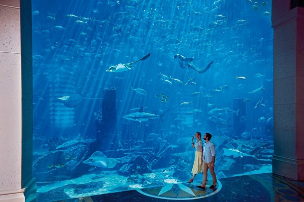 Atlantis, The Palm