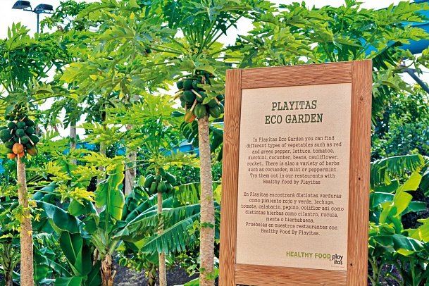 Playitas Hotel