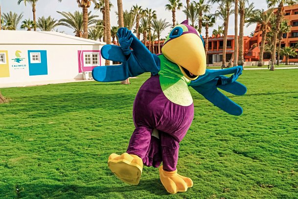 Calimera Blend Paradise