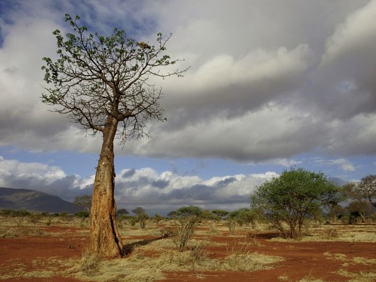 Papillon Lagoon Reef - Ngutuni Tierschutz Reservat