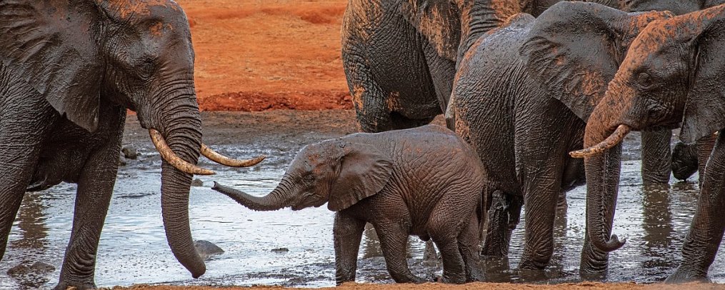 Papillon Lagoon Reef