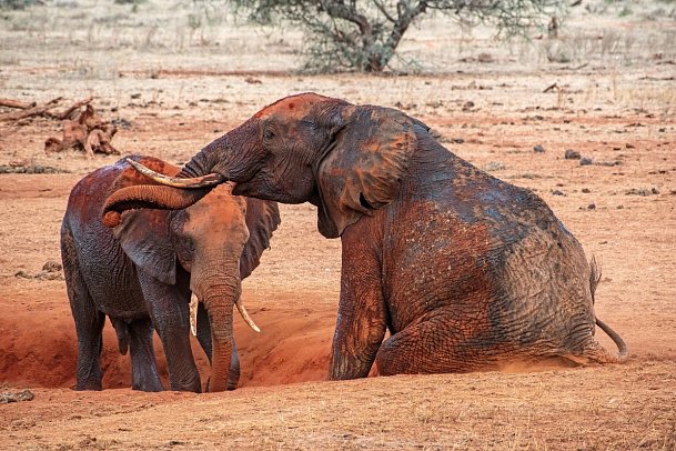 Papillon Lagoon Reef