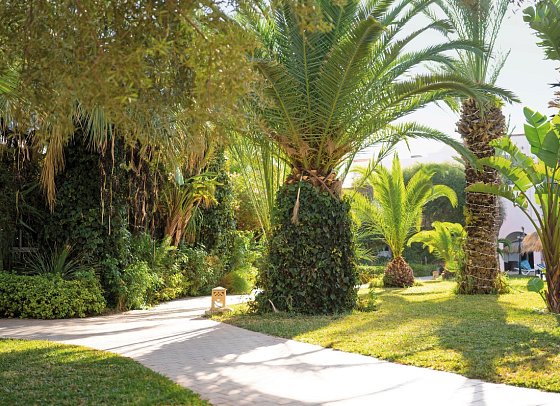 Eden Yasmine Resort & Spa