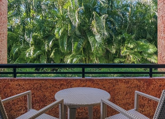 Iberostar Waves Tucán - Wohnbeispiel Premium Tropical View (Zimmercodierung D1G)