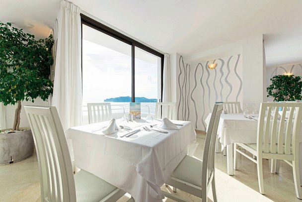 Sentido Fido Punta del Mar