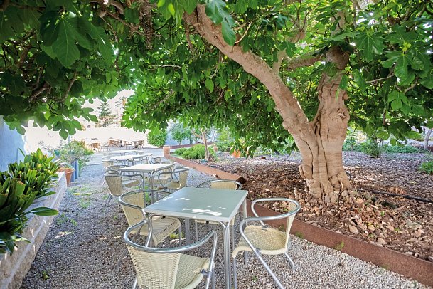 Petit Garden Hotel by Flacalco