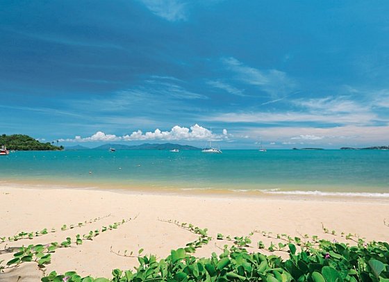 Celes Samui