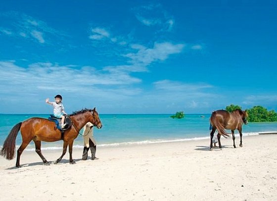 Sea Cliff Resort & Spa