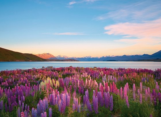 Rundreise Erlebnis Neuseeland auf Schiene und Straße - Lake Tekapo