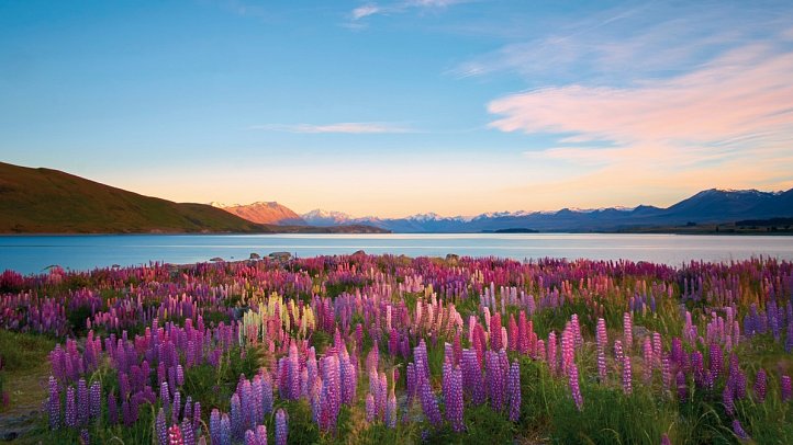 Rundreise Erlebnis Neuseeland auf Schiene und Straße - Lake Tekapo