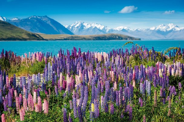 Rundreise Höhepunkte Neuseelands - Lake Tekapo