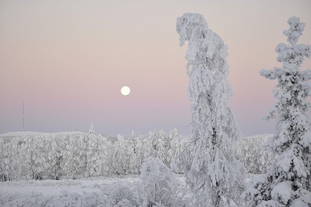 Wintertraum in Alta Norwegisch Lappland