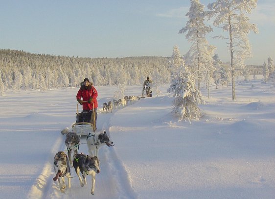 Wintertraum in Alta Norwegisch Lappland