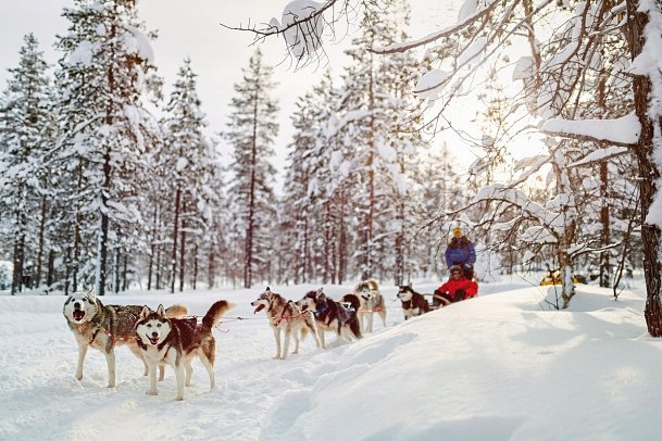 Wintertraum in Alta - Norwegisch Lappland