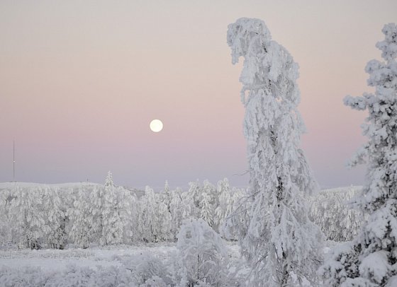 Wintertraum in Alta - Norwegisch Lappland