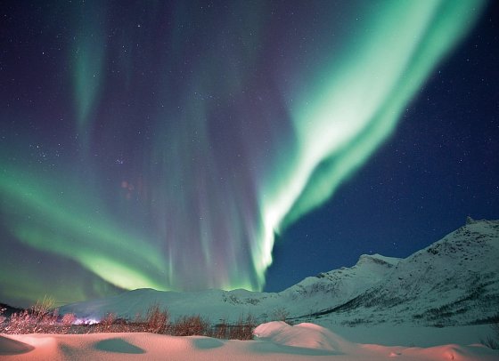Wintertraum in Alta - Norwegisch Lappland