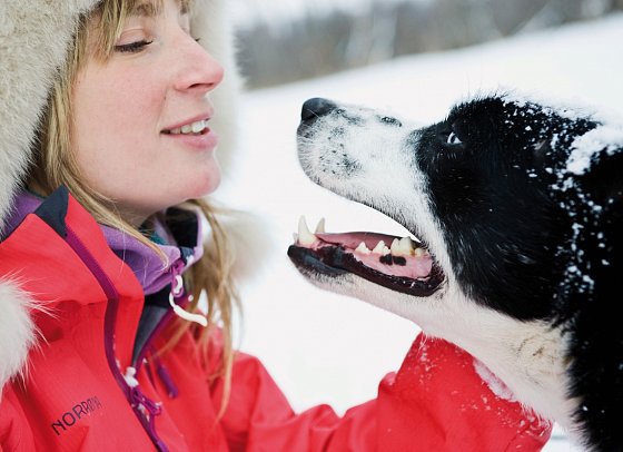 Wintertraum in Alta - Norwegisch Lappland