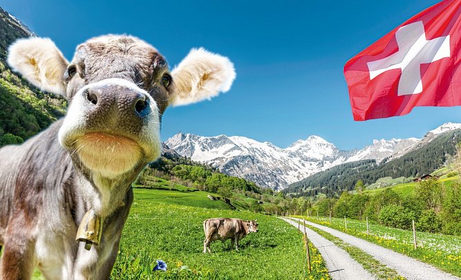 Bregenzer Festspiele - La Traviata 2026