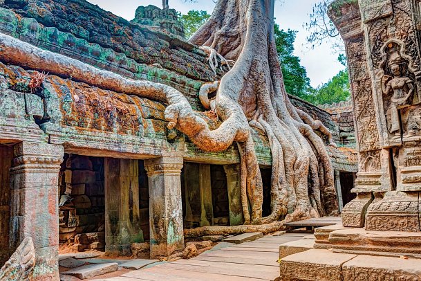 3 Länderkombi Thailand, Kambodscha & Vietnam inkl. Baden - Ta Prohm Tempel, Angkor