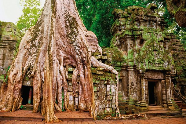 3 Länderkombi Thailand, Kambodscha & Vietnam inkl. Baden - Ta Prohm Tempel, Angkor