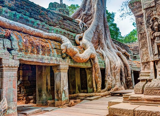 3 Länderkombi Thailand, Kambodscha & Vietnam inkl. Baden - Ta Prohm Tempel, Angkor