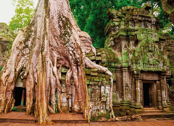 3 Länderkombi Thailand, Kambodscha & Vietnam inkl. Baden - Ta Prohm Tempel, Angkor