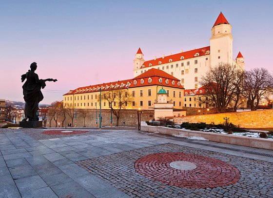 MS Nestroy - Gansl Kreuzfahrt nach Bratislava - Burg Bratislava