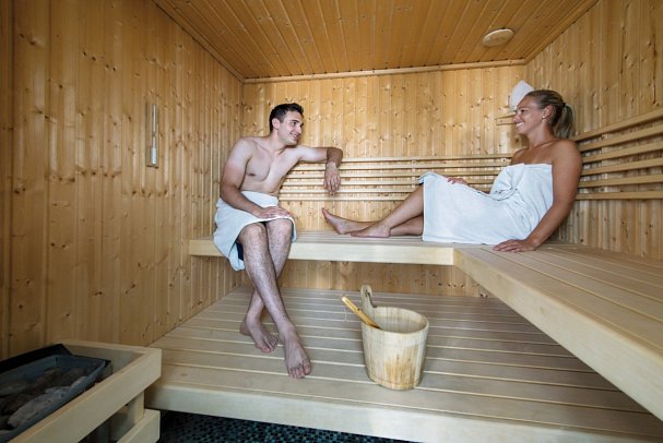 MS Primadonna zwischen Stephanskrone und Puszta