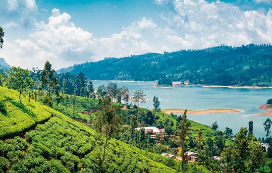 Sri Lanka Rundreise & Baden