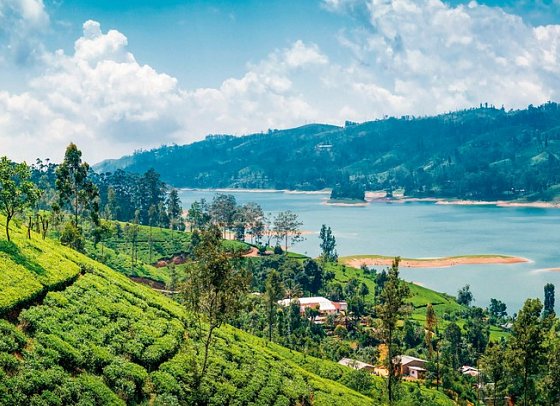 Sri Lanka Rundreise & Baden