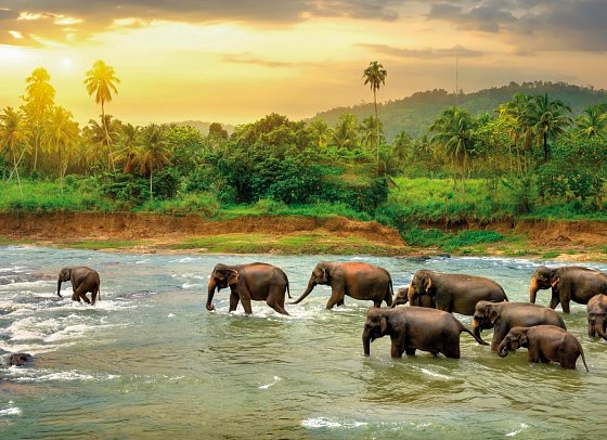 Sri Lanka Rundreise & Baden