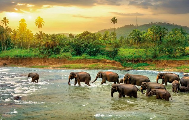 Sri Lanka Rundreise & Baden