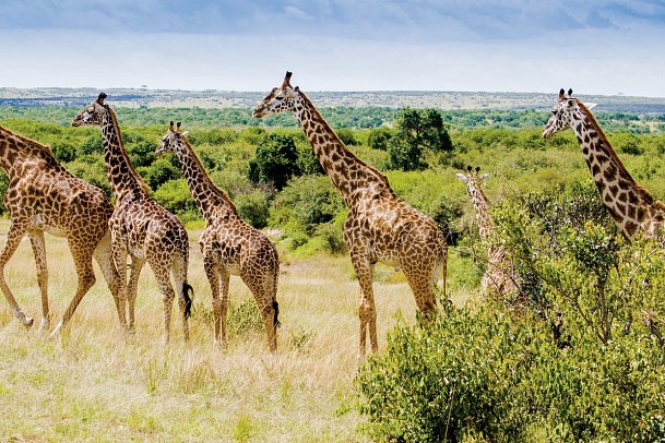 Soft Adventure-Tour - Rundreise Südafrika