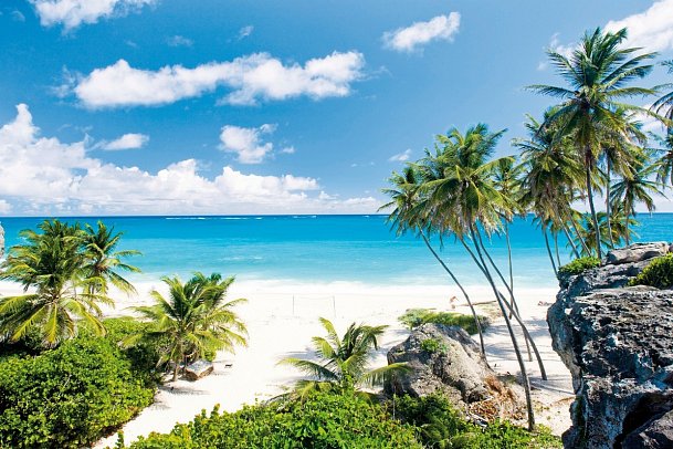 Karibik pur ab/bis Martinique mit MSC World Europa - Barbados