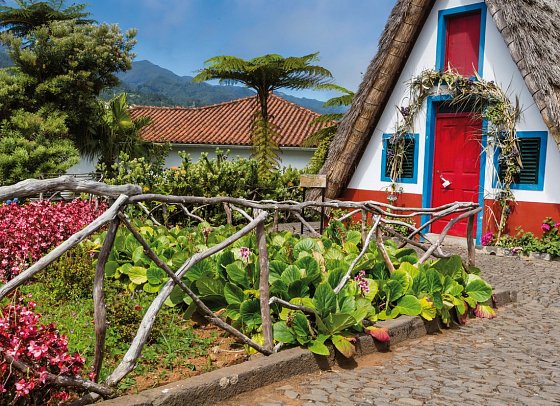 Blumeninsel Madeira Sternfahrt