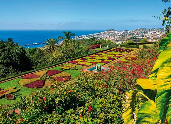 Blumeninsel Madeira Sternfahrt