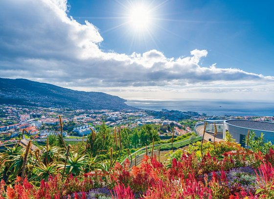 Blumeninsel Madeira Sternfahrt