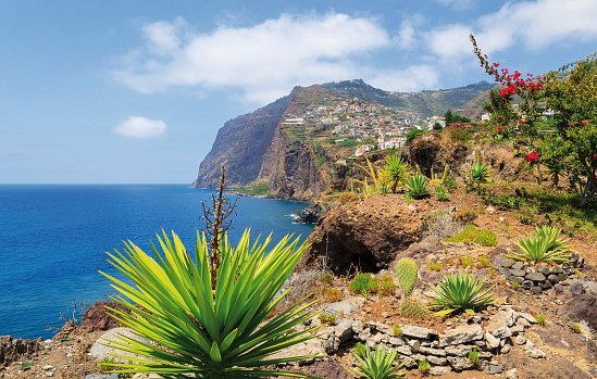 Blumeninsel Madeira Sternfahrt
