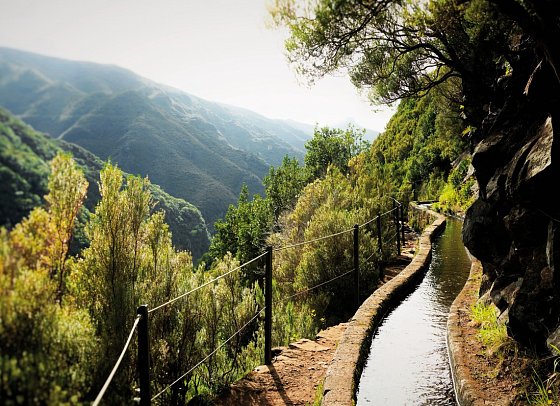 Wanderreise Madeira - Levada