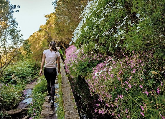 Wanderreise Madeira - Levada-Wanderung