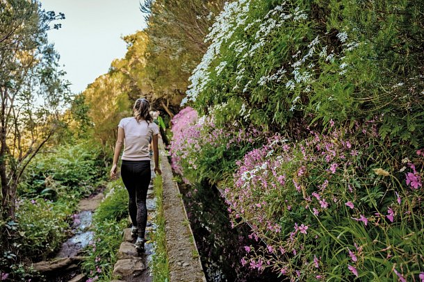 Wanderreise Madeira - Levada-Wanderung