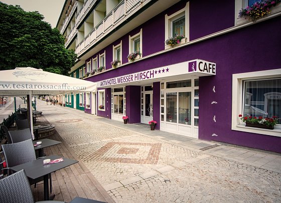 Aktivhotel Weisser Hirsch