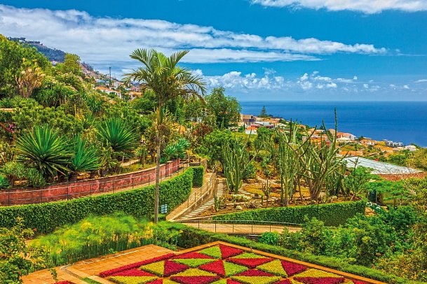 Entlang der Iberischer Küste bis Teneriffa mit Vasco Da Gama - Botanischer Garten