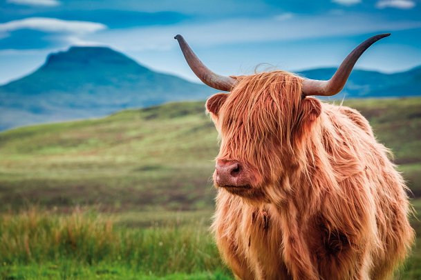 Grossbritannien mit Costa Favolosa