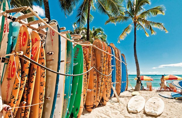Hawaii bis Sydney mit Norwegian Spirit - Surfboards Waikiki Beach, Oahu
