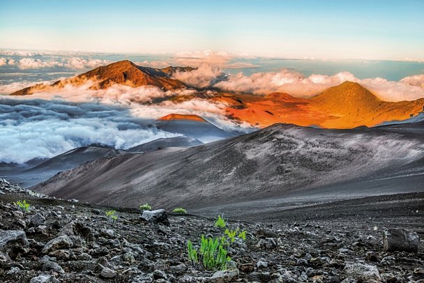 Hawaii bis Sydney mit Norwegian Spirit - Haleakala, Maui