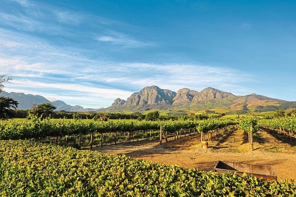 Rundreise Südafrika - Vom Kruger-Nationalpark zum Tafelberg