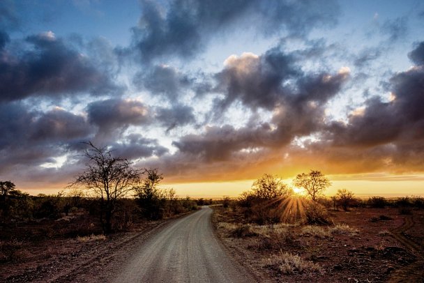 Rundreise Südafrika - Vom Kruger-Nationalpark zum Tafelberg