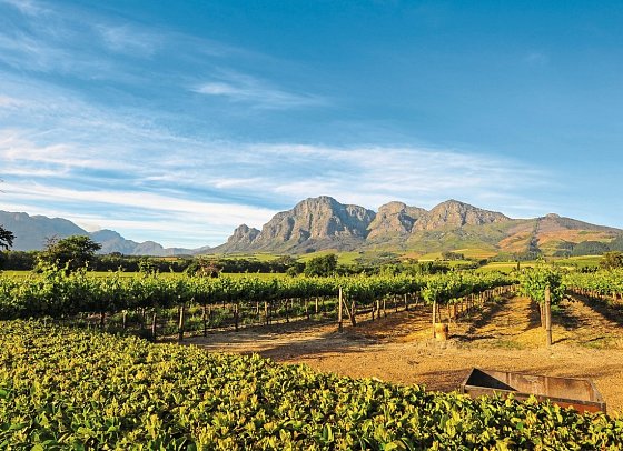 Rundreise Südafrika - Vom Kruger-Nationalpark zum Tafelberg