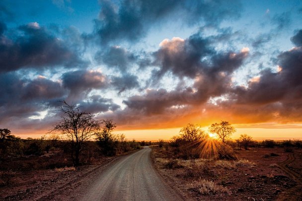 Rundreise Südafrika - Vom Kruger-Nationalpark zum Tafelberg